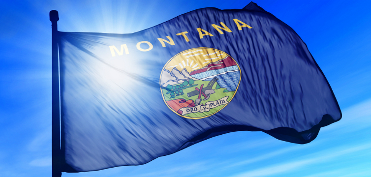 Montana Flag