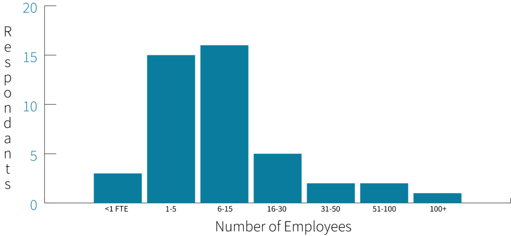 Participating Organization Sizes